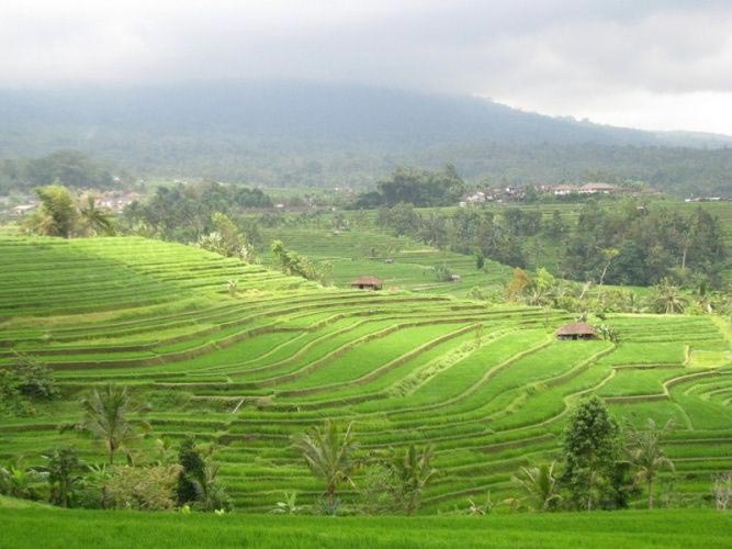 Bali-Centre.jpg