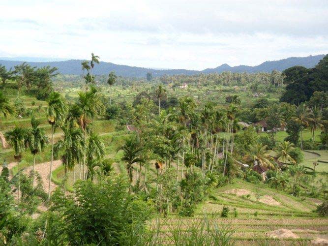 Bali-Est.jpg