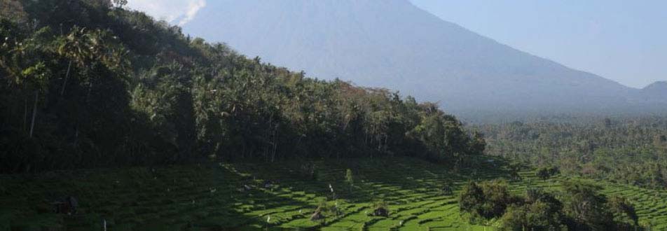 bali_1.jpg