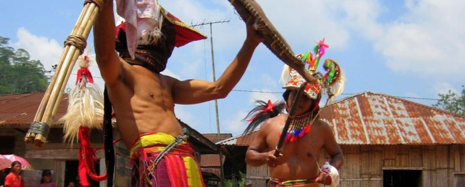 flores_02.jpg