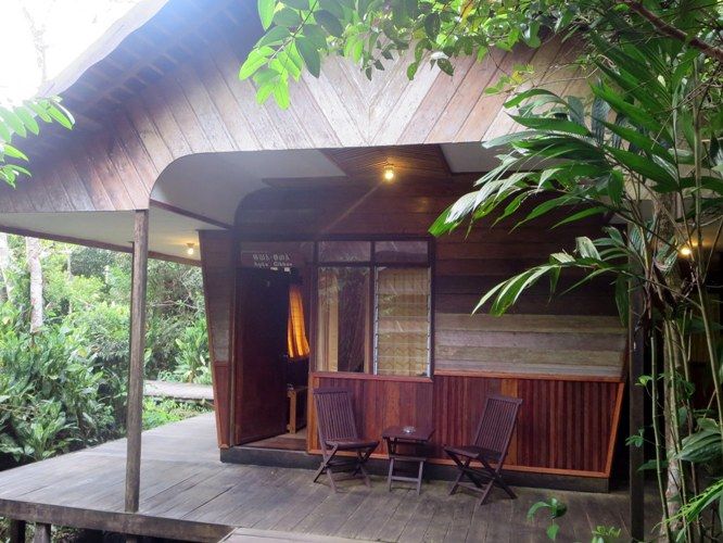 Eco-lodge-bornéo.jpg