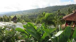 Confort 06