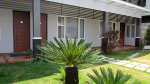 Confort 33