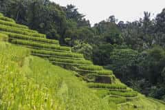 88ba6eadacd214a0417444e4bb6576c8.jpg