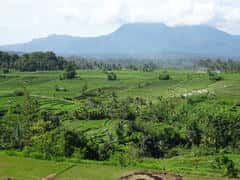 9facb55a4fff39f0b12785acc1d73474.jpg