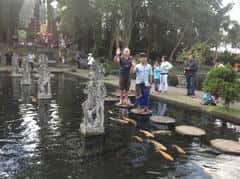 af3dba78e82643ac06bd26f454241845.jpg