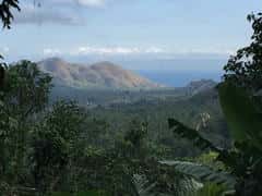 df97ca0e4a64595f7ed632d38794e15b.jpg